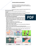 ACTIVACION CORPORAL Hoja de Informacion 3ro PDF