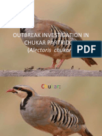 Outbreak Investigation in Chukar Partridge