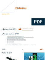 Celdas SFR (Flotación) 270319 PDF