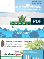 Reflexiones de Los Indicadores Ambientales Biofísicos en El Manejo Agronómico Del Cannabis SPP en Colombia