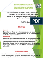 Sustitución del maíz por harina de cascara de cacao en pollos