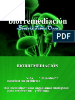 biorremediacion-130408113027-phpapp01