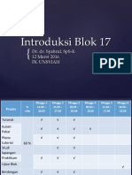 17 Introduksi Blok