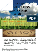 Genetic Modification Organisms (GMO) : Noor Effardiana Jaafar Sidek
