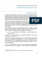 C11_morfo_planuri urb.pdf