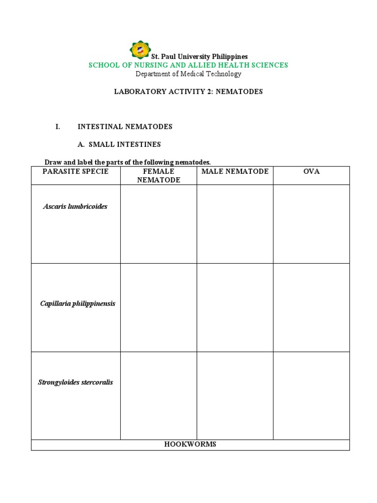 Lab Manual Activity 2 | PDF