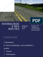 Pathologies des routes