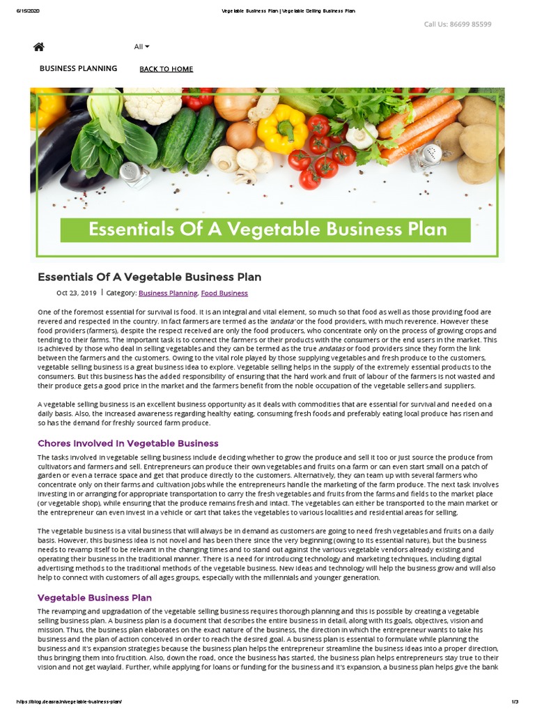 dried vegetables business plan