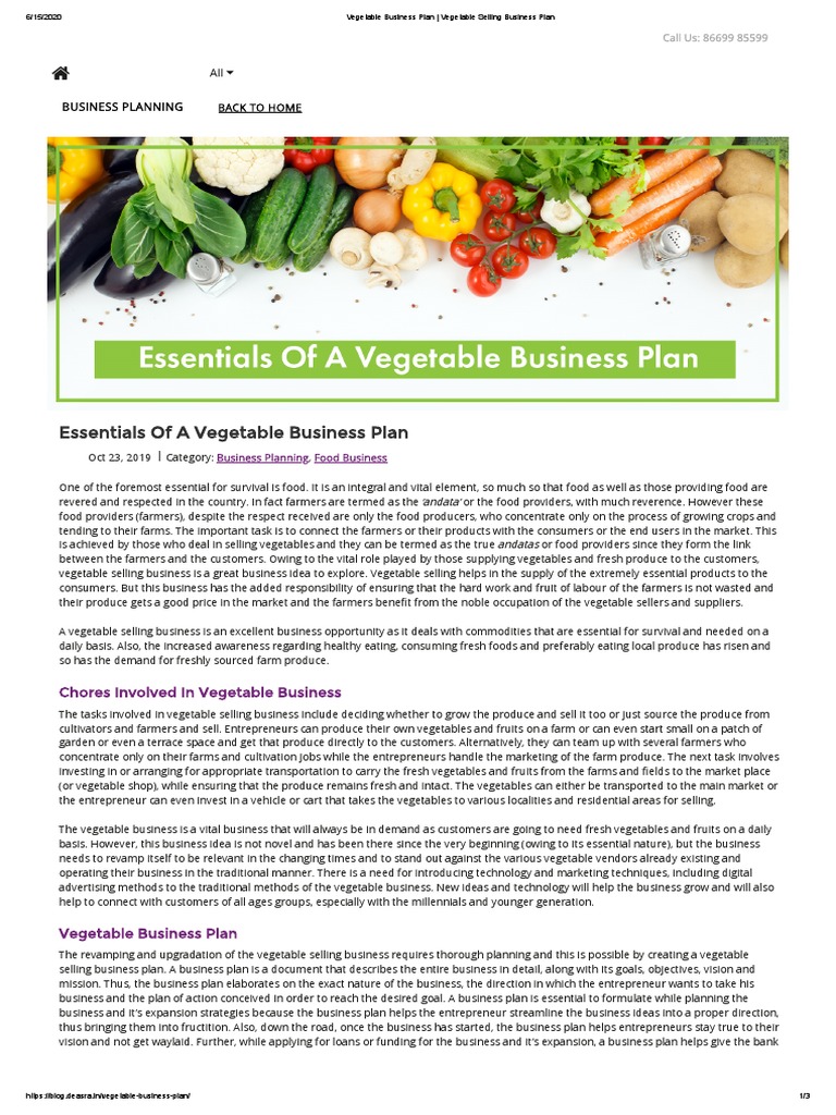 Vegetable Business Plan Vegetable Selling Business Plan PDF Vegetables Foods