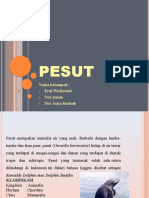 PESUT