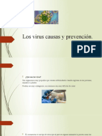 Los virus causas y prevención