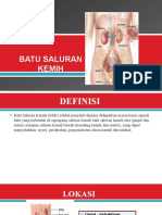 Batu Saluran Kemih Definisi