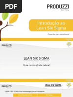 Introdução-ao-Lean-Six-Sigma.pdf