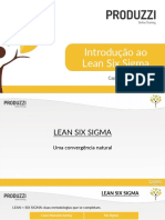 Introdução Ao Lean Six Sigma PDF