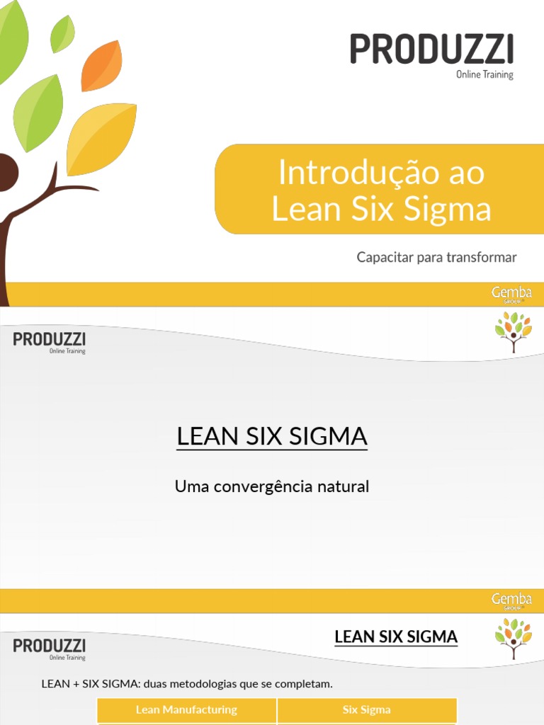 Introdução ao Lean Six Sigma | PDF | Seis Sigma | Fabricação enxuta