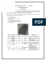 INFORME DE BIOMETALURGIA PIRITA