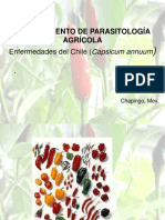 Chile Diseases PDF