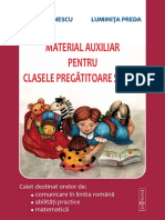 Manual Auxiliar PDF