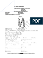 Chapter-Animal Tissues Assignment 5: Muscular and Nervous Tissue System