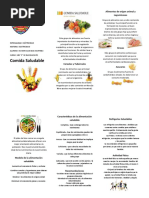 TRIPTICO de Alimentacion Saludable