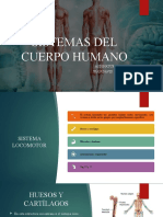 Sistemas Del Cuerpo Humano