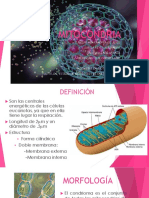 Biología Mitocondria PDF