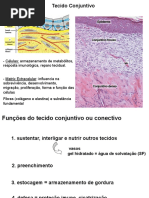 Tecido Conjuntivo e Fibroblastos.pdf