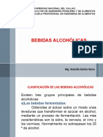 12 BEBIDAS ALCOHOLICAS