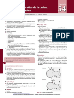 Patología degenerativa de la cadera. Artroplastia de cadera.pdf