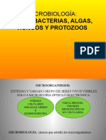 16. Microbiología.ppsx