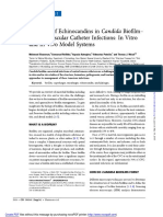 The Role of Echinocandins in Candida Biofilm Related Vacular Catheter