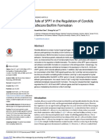 Role of SFP1 in The Regulation of Candida Albicans