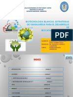 BIOTECNOLOGÍA BLANCA DE BIOCATALIZADORES PARA BIORREFINACIÓN.pdf