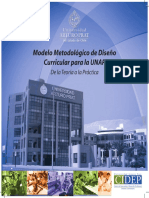 Manual Cidep-2 PDF