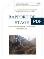 Rapport de Stage