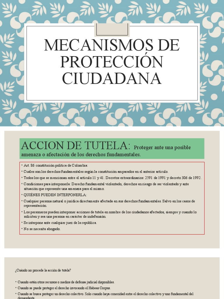 Mecanismos de Protección Ciudadana en Colombia | PDF | Derecho ...