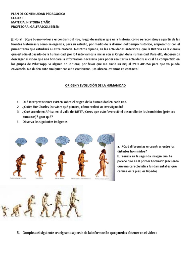 Origen y Evolución de la Humanidad | PDF | Homo | Evolución humana
