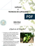 Técnicas de Lupulado