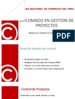 Control de Proyectos