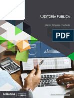 Eje 1 Auditoria Publica