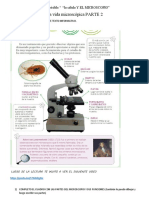 Ciencias Naturales La Vida Microscópica El Microscopio