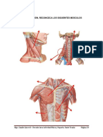 Cuadernillo AnatomÃ - A y FisiologÃ - A Funcional Parte 2