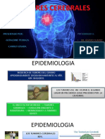 Tumores_Cerebrales_Pedraza.pdf