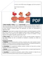 Sistema Musculatorio