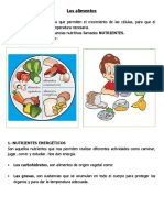 2.-Los Alimentos 16 - 06 - 20