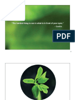 Moringa Presentation (Genera) print.pdf