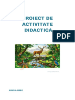 Proiect de Activitate Ala1