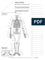 Aab Human Skeleton Anatomy Activity