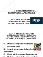 US 1 - Micile Afaceri