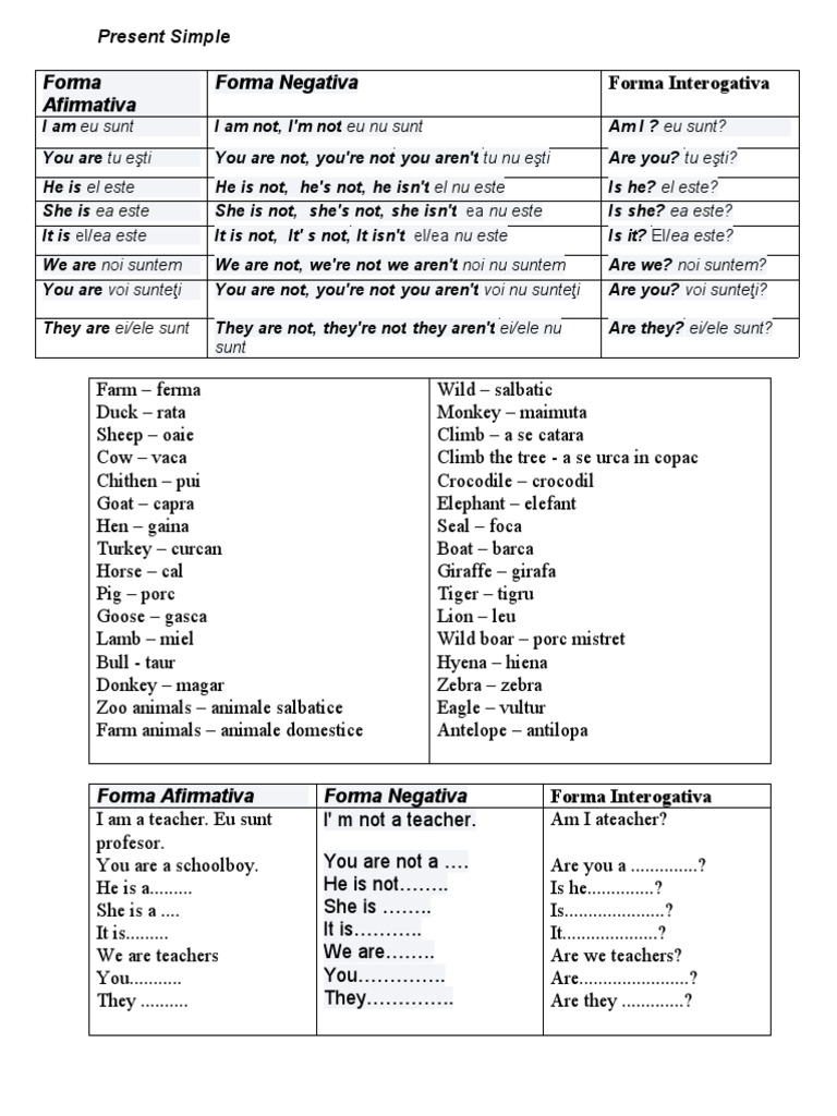 Present Simple: To Be Forms Explained | PDF | Mammal Ecology ...